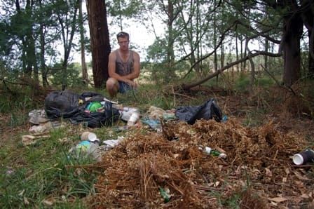 Ragwort dumping riles farmer post image