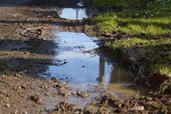 Wettest year since 2012 for Warragul region post image