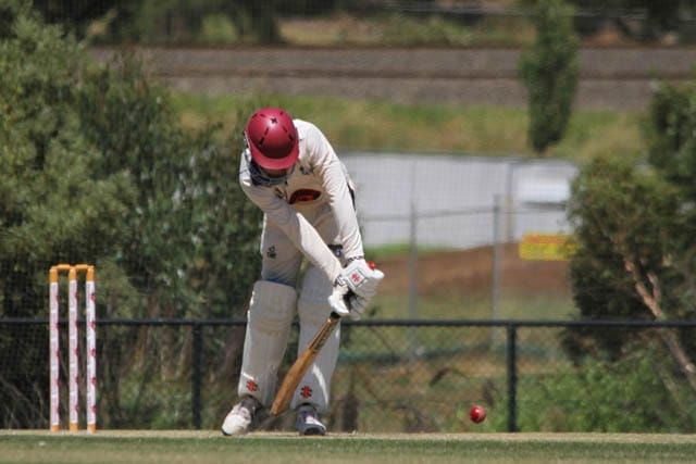 Cricket Senior's Div 2 - Western Park Vs. Trafalgar - 10.02.2024 post image