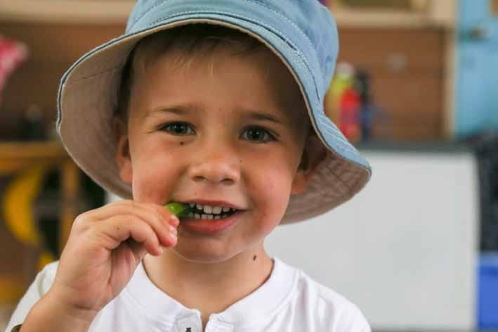 Bowen Park’s a healthy kinder post image
