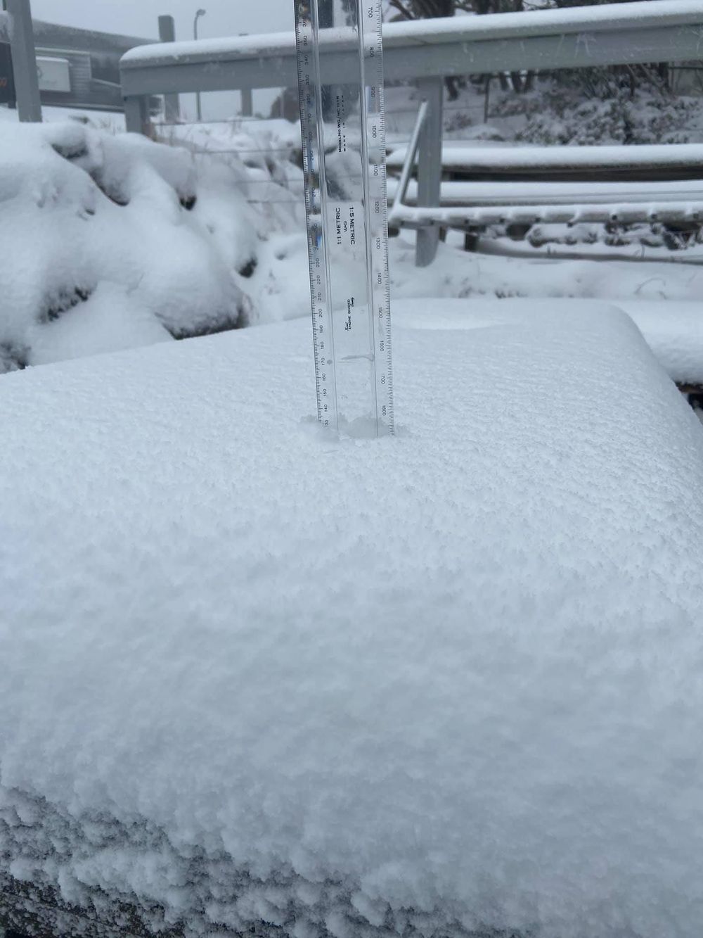 Wintry blast post image