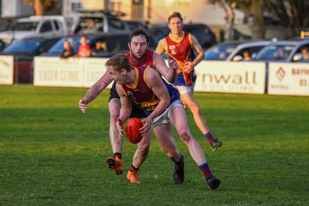 Gulls and Hawks to tackle round two tests post image