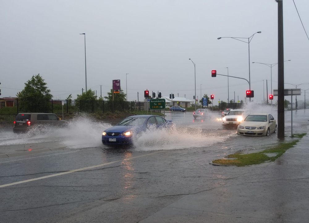 June rain above average post image