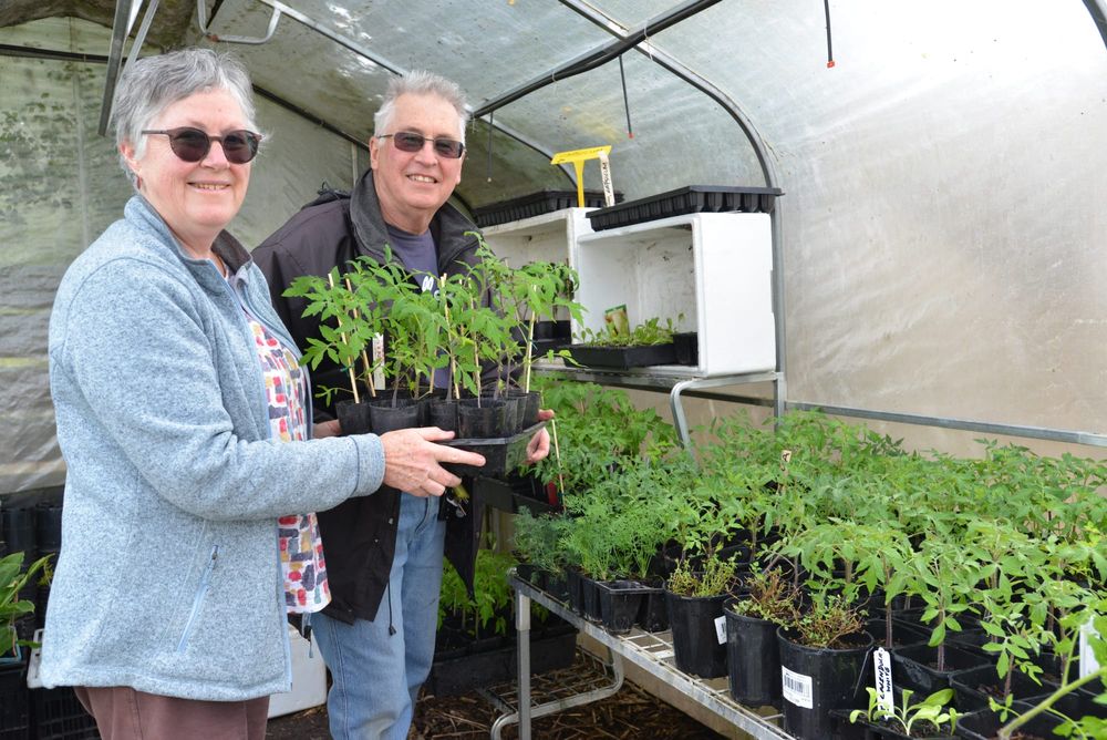 Community garden plant sale post image