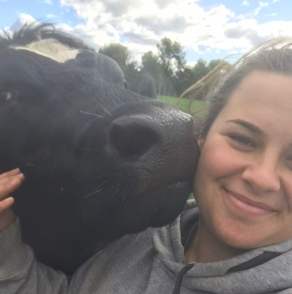 Study tour provides dairy opportunities post image
