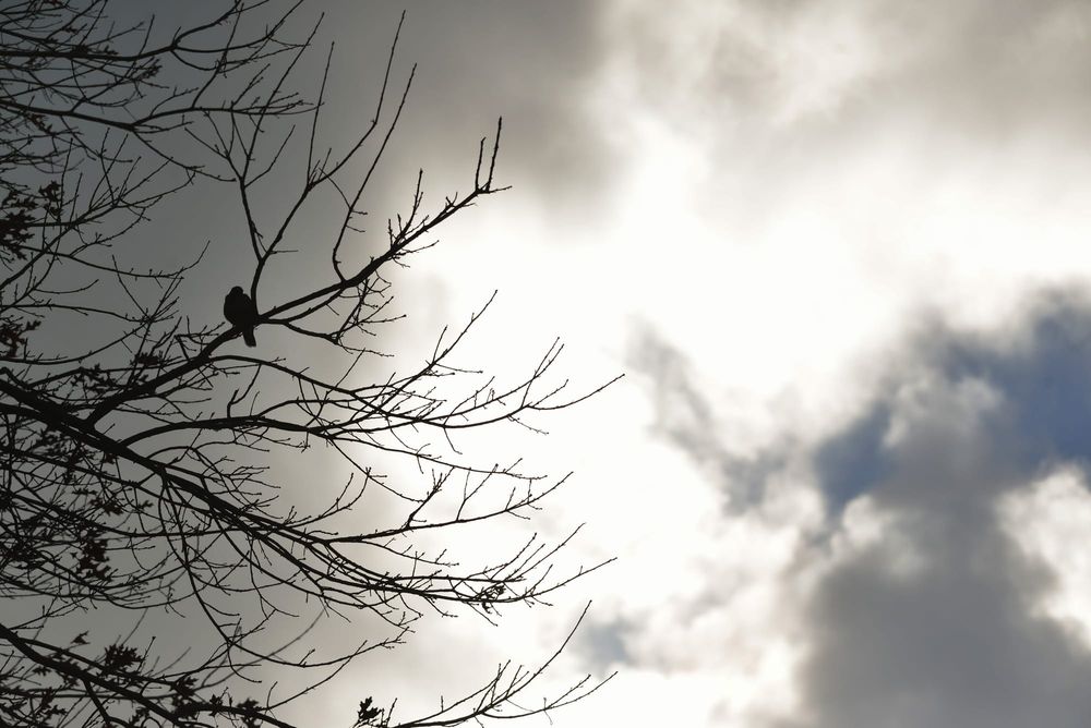 Patchy rain for district last month. post image