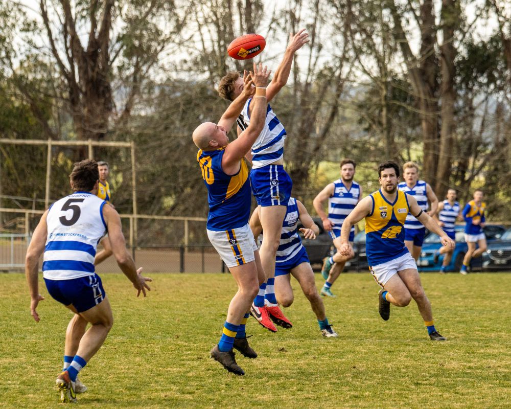 Urie’s day to remember gives Cats the win post image