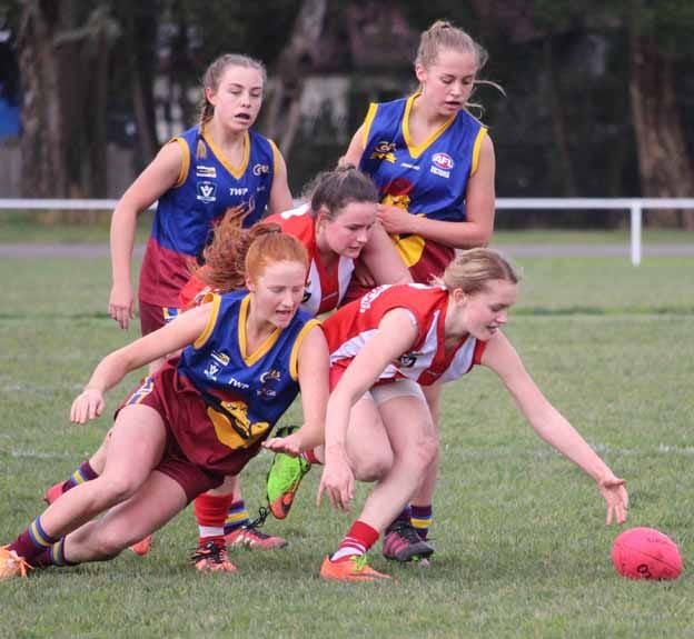 Colts into grand final post image
