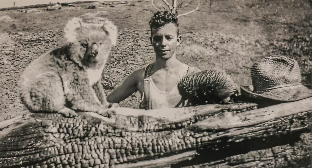 Snapshot of the past: local wildlife post image