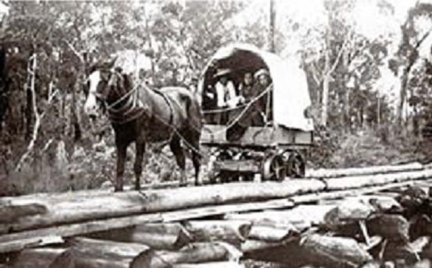 Snapshot of the past: Collins family post image