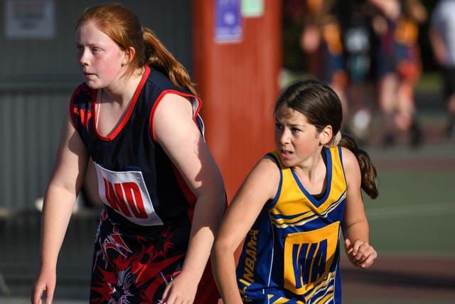 Netball- Warranor Jade Vs Ellinbank Yellow Under 15s 16-11-2020 post image
