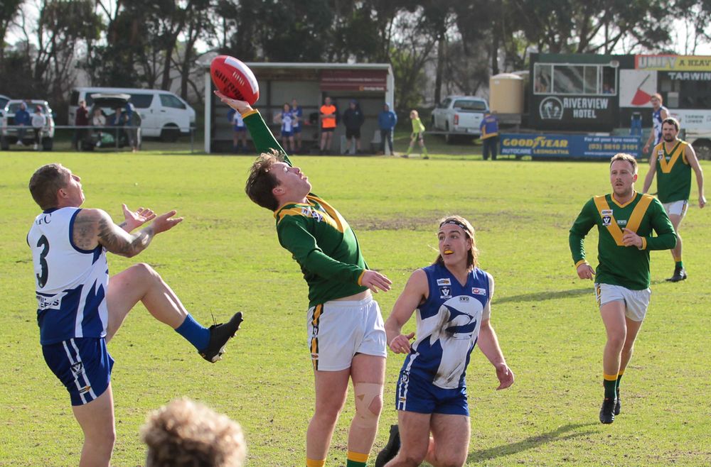 Sharks bite too much for Rovers in Mid Gippy post image
