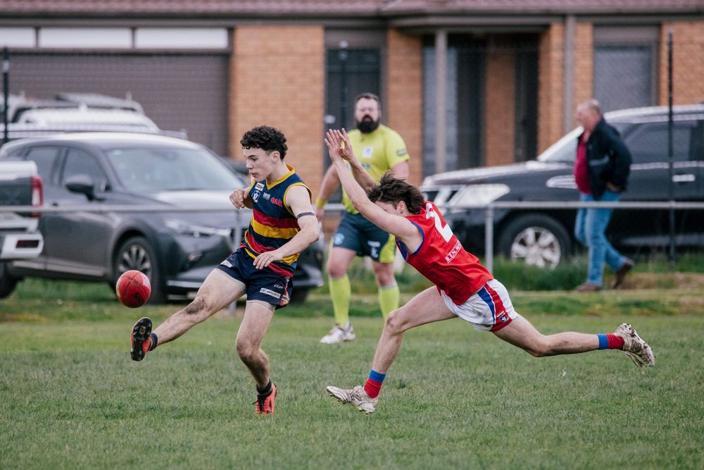 Depleted Lyrebirds overcome Crows post image