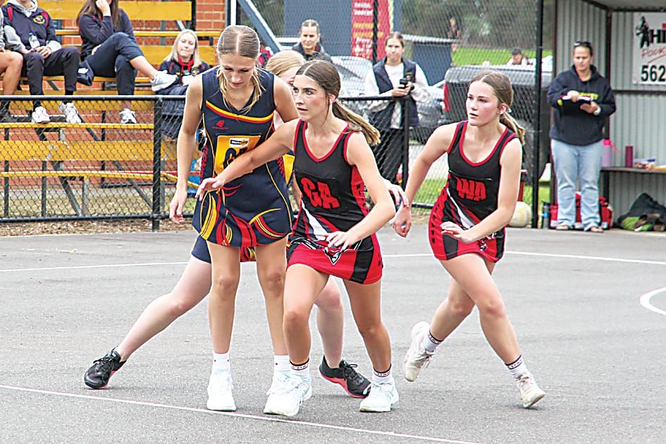 Contenders open season with wins post image