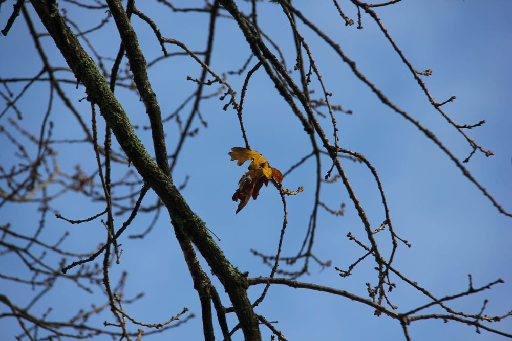 Little rain but cool throughout May post image