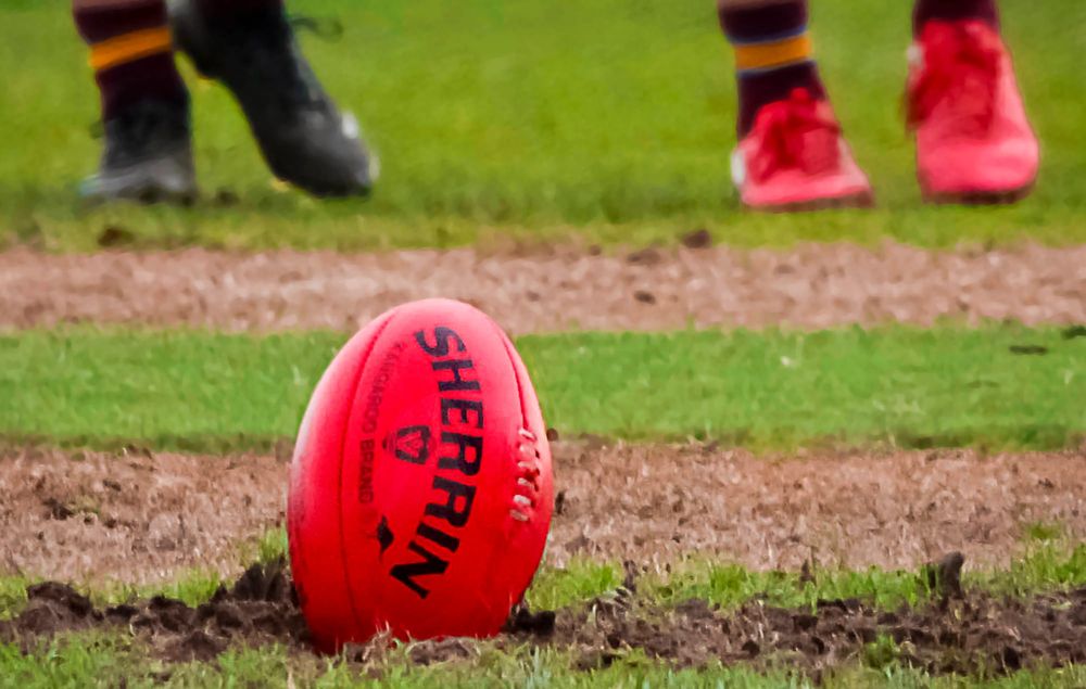 Magpies punish Panthers post image