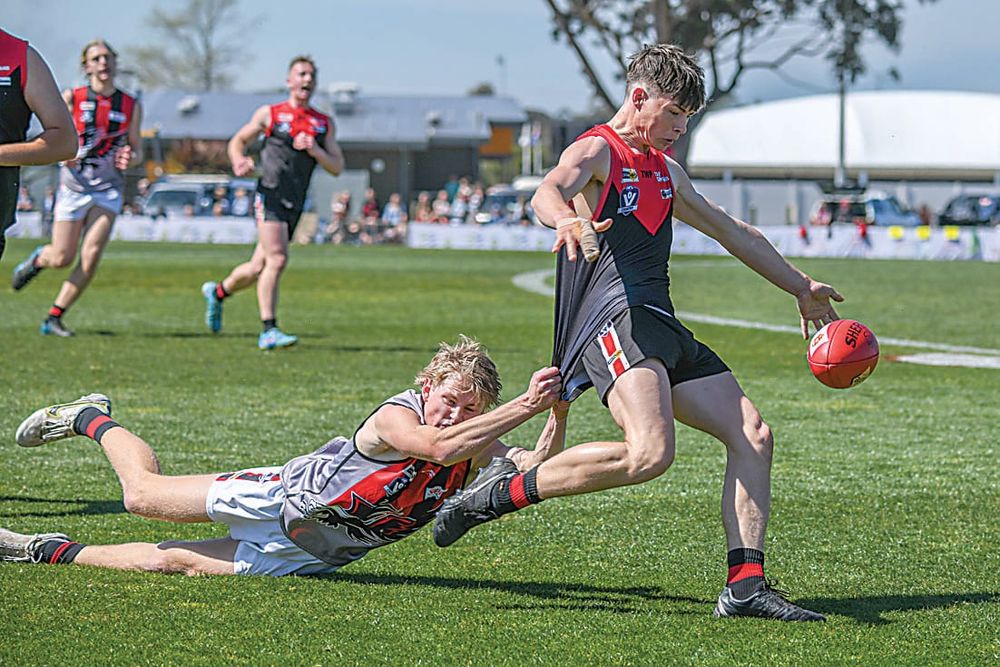 Gulls hard to get a read on post image