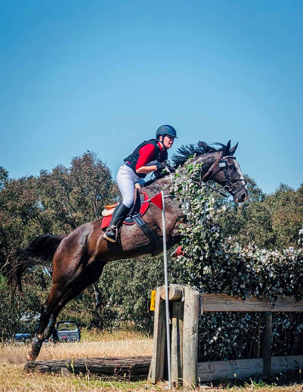 Equestrian success for St Paul's post image