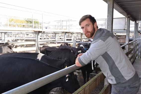 Dairyfarmers adjust to crisis post image