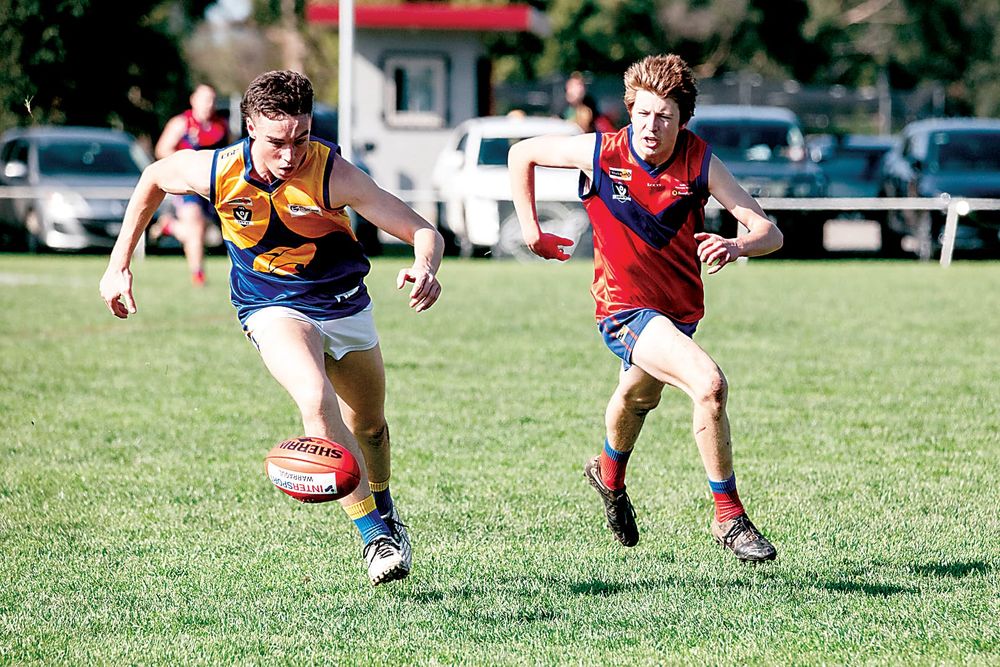 Lyrebirds see off Eagles post image