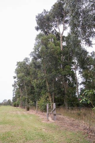 Golf Course Development - 04022021 post image