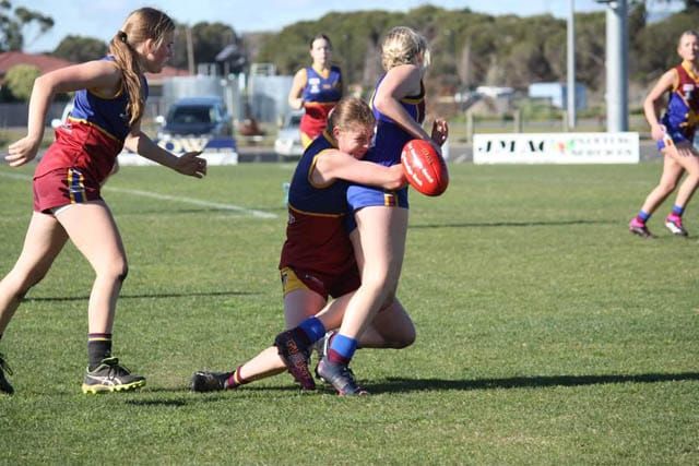 Photos - 06.06.2023 post image