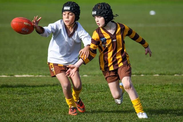 Football Juniors (U8's) on Warranor 60th - 17.06.2023 post image