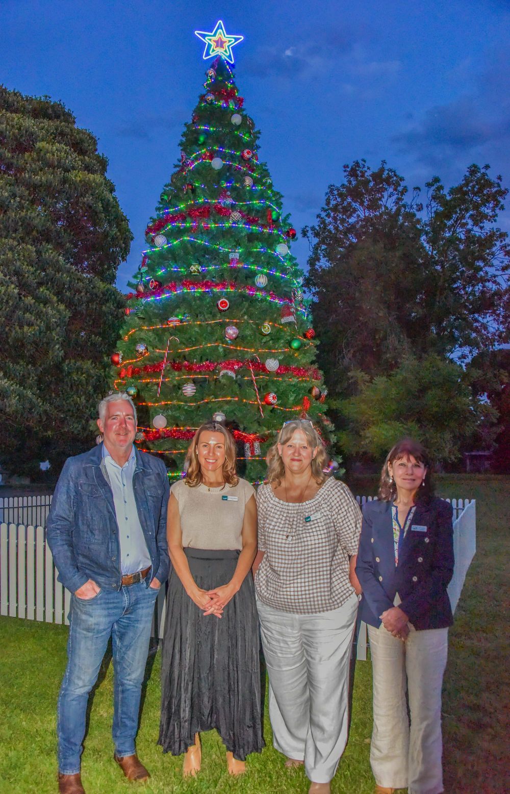 Tree lights up post image