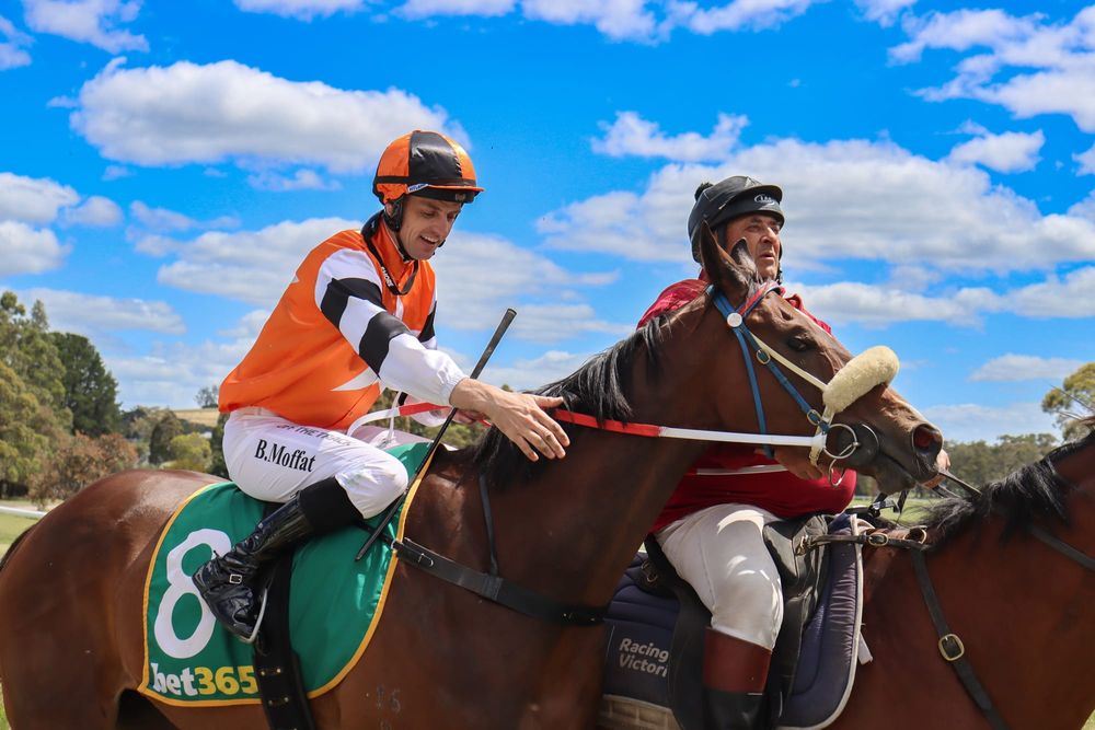 Perfect weather for Boxing Day races post image