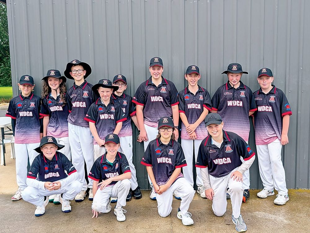 Wild Dogs off to hot start post image
