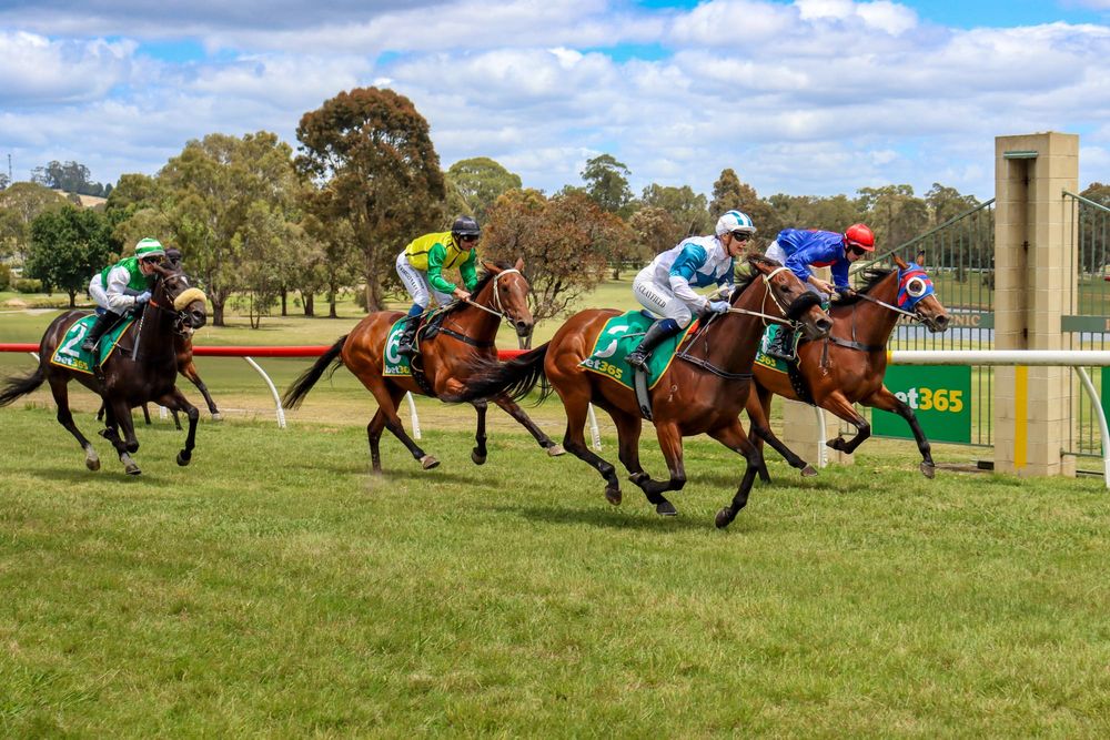 Drouin Picnic Races 2025 - December 26, 2025 post image