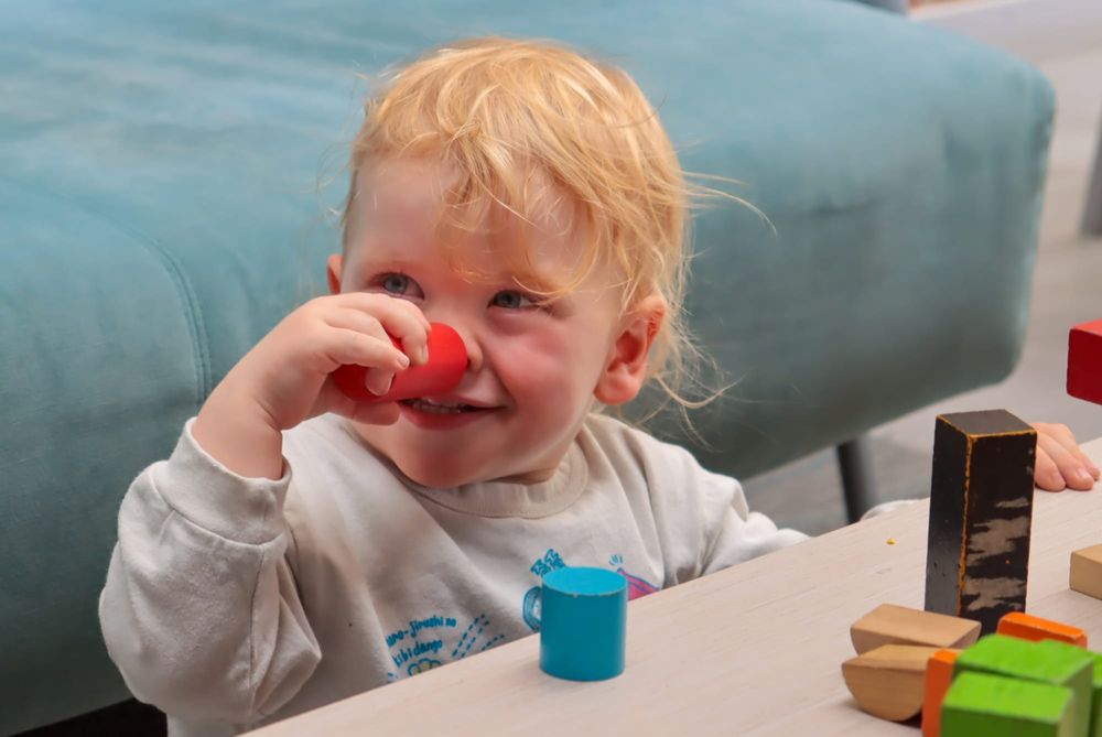 West Gippsland Arts Centre Forecourt Friday Art Workshop - January 16, 2026 post image