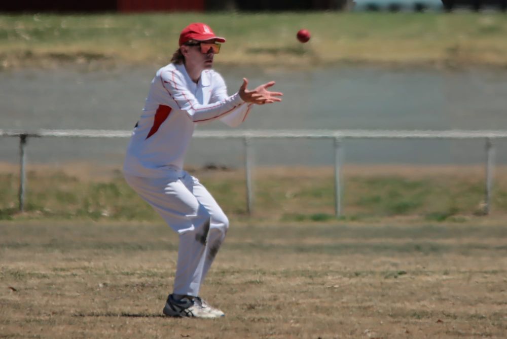 WDCA Cricket Division 3 Trafalgar vs Western Park - January 24, 2026 post image