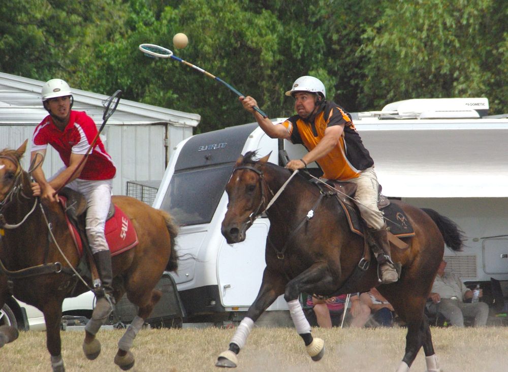 Trafalgar Polocrosse - February 7, 2026 post image