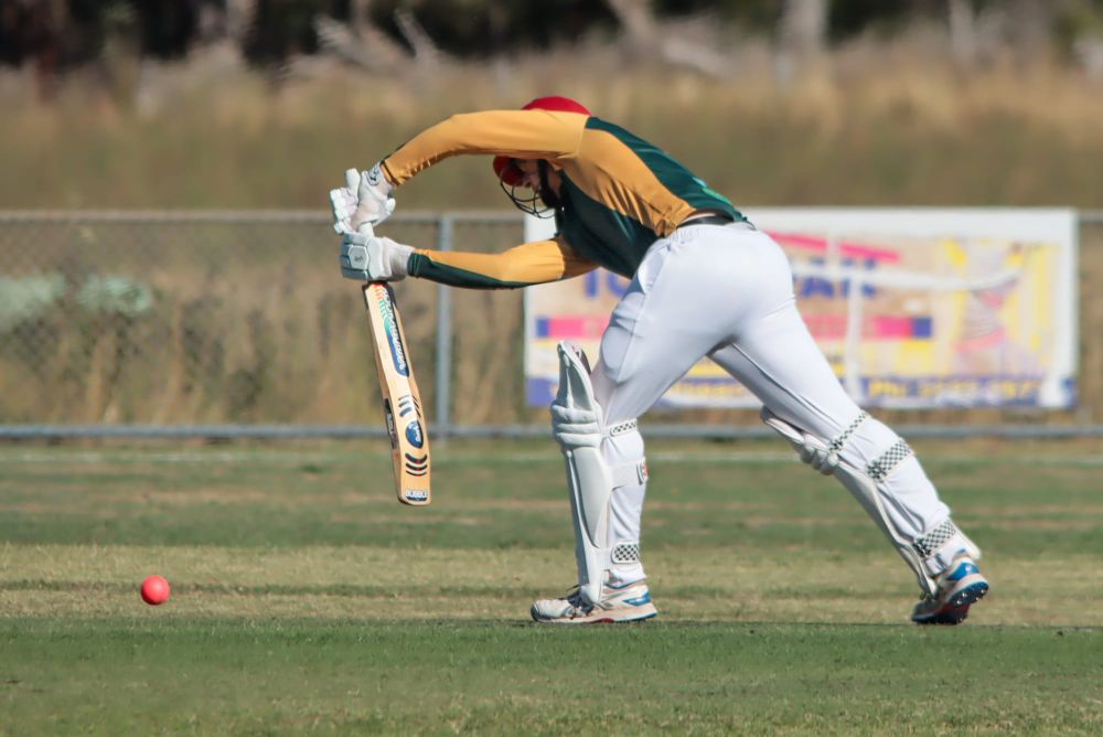 WDCA Cricket Under 17s Hallora vs Western Park - February 20, 2026 post image