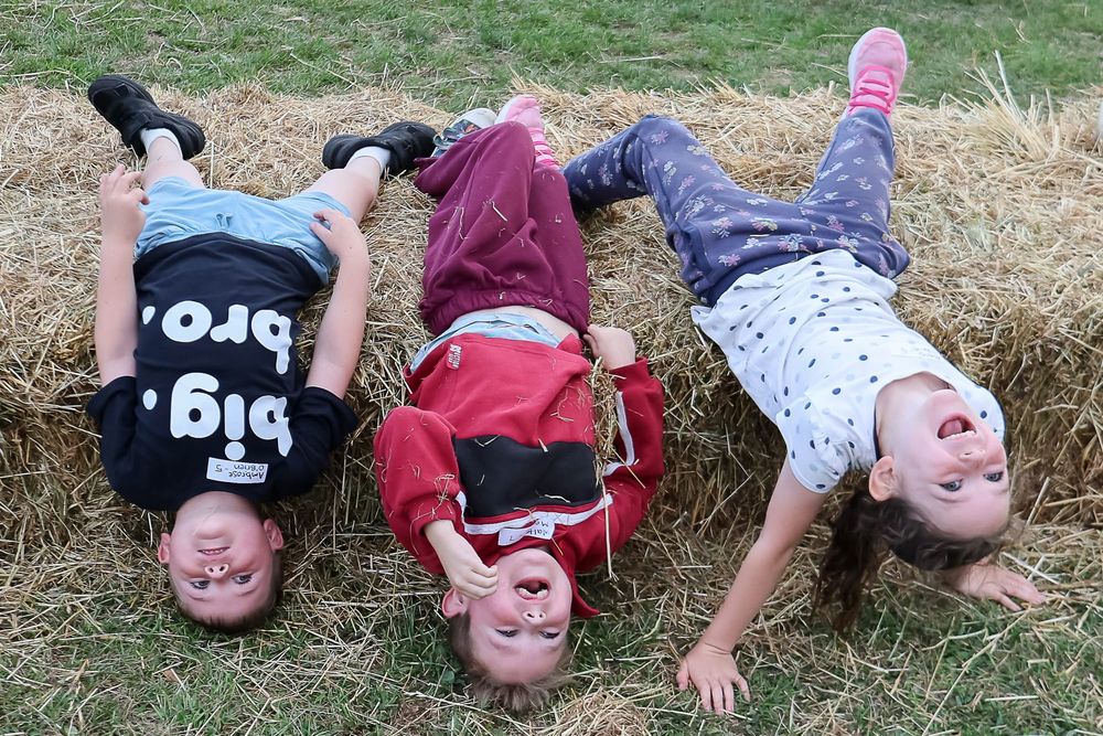 Ellinbank Twilight Sports - February 27, 2026 post image