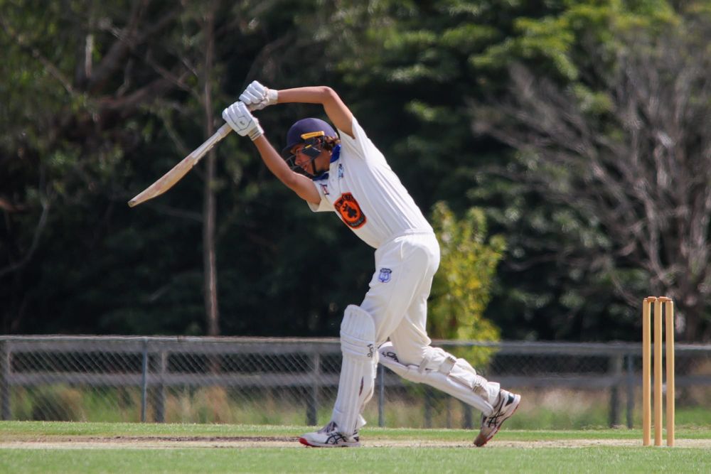 Cricket WDCA Division 1 grand final: Western Park vs Drouin - March 14, 2026 post image
