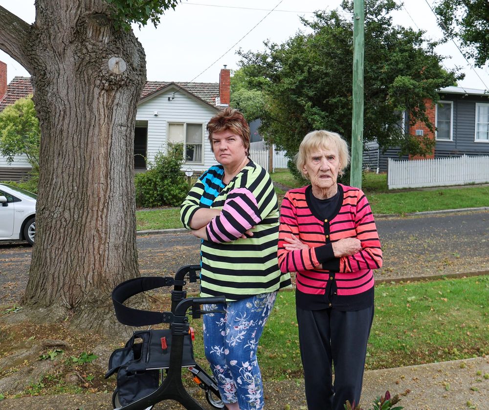 Trapped by tree debris post image