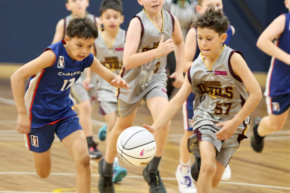 WDABA Under 12 Boys D2: Chalkies Dragons vs Devils Celtics - March 28, 2026 post image