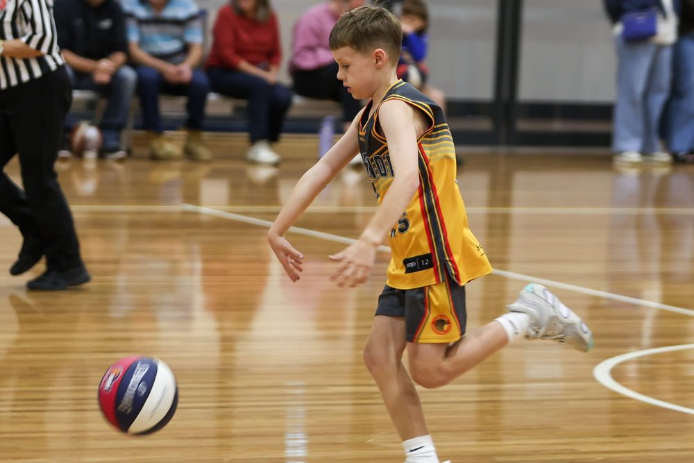 WDABA Under 10 Boys Pool A: Warranor Vipers vs Chalkies Raptors - March 28, 2026 post image