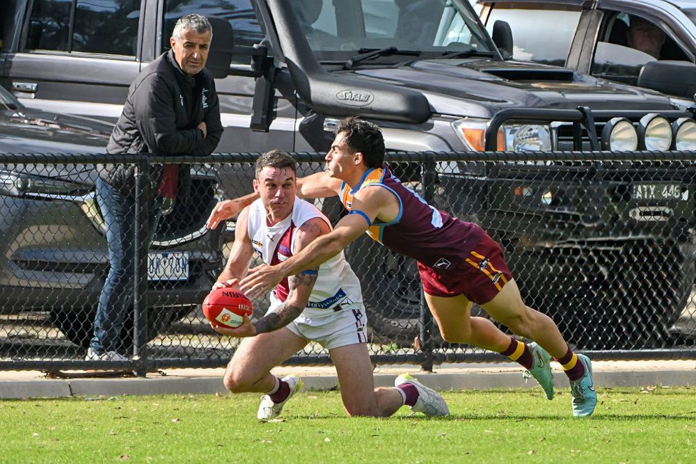 Hawks fight hard in defeat post image