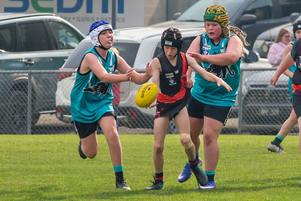 Warragul and District Junior Football League Under 12s: Nilma-Darnum vs Yarragon - May 2, 2026 post image