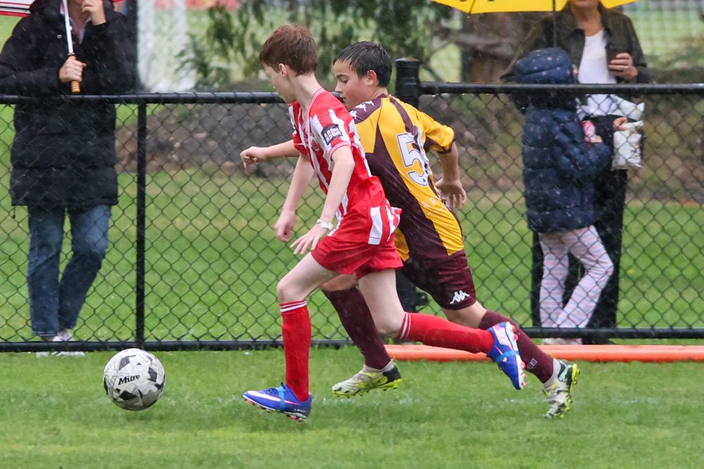 Football Victoria Gippsland Under 14B: Drouin Dragons Yellow vs Trafalgar Victory - May 3, 2026 post image