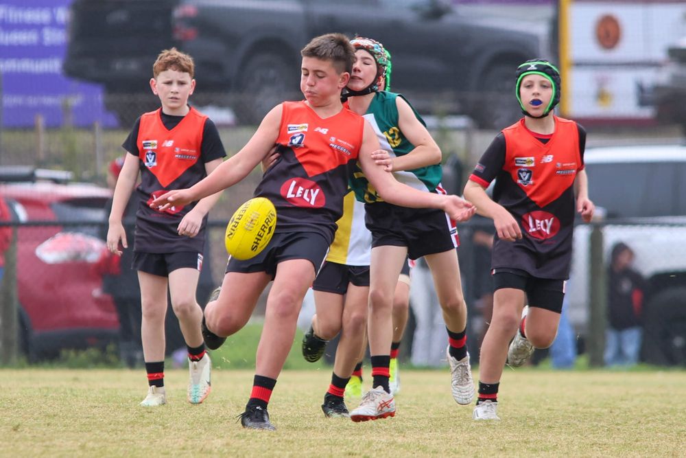 WDJFL Under 12s: Warragul vs Hallora - May 9 2026 post image