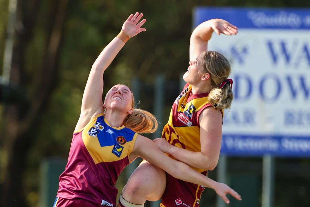 Williams leads way for Dusties post image