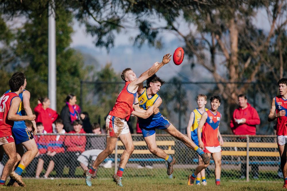 EDFNL Football Thirds: Ellinbank vs Buln Buln - June 27, 2026 post image