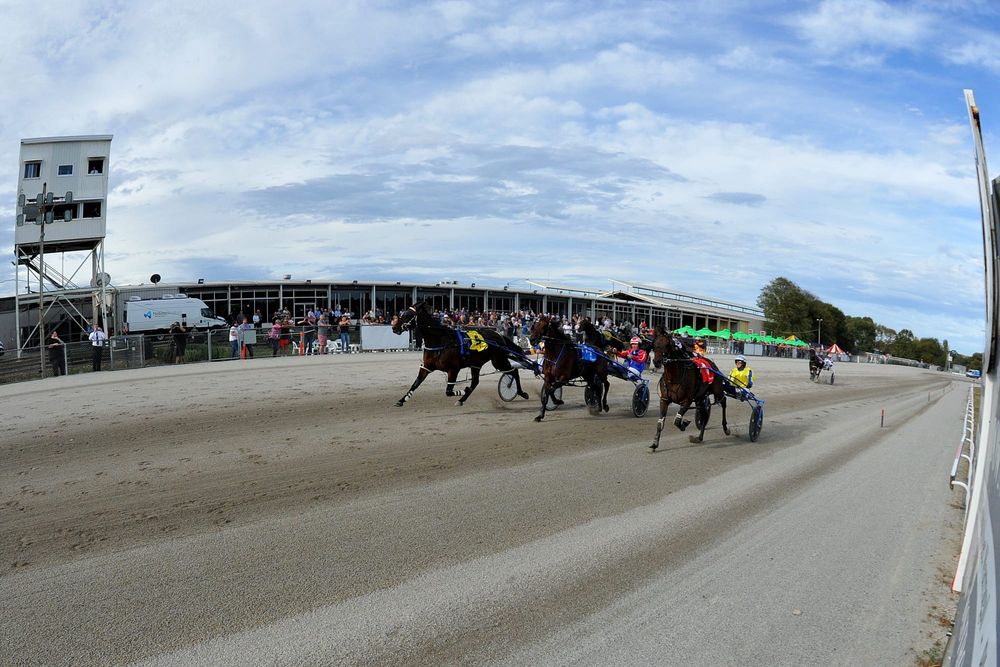 Action off the track at Cup post image
