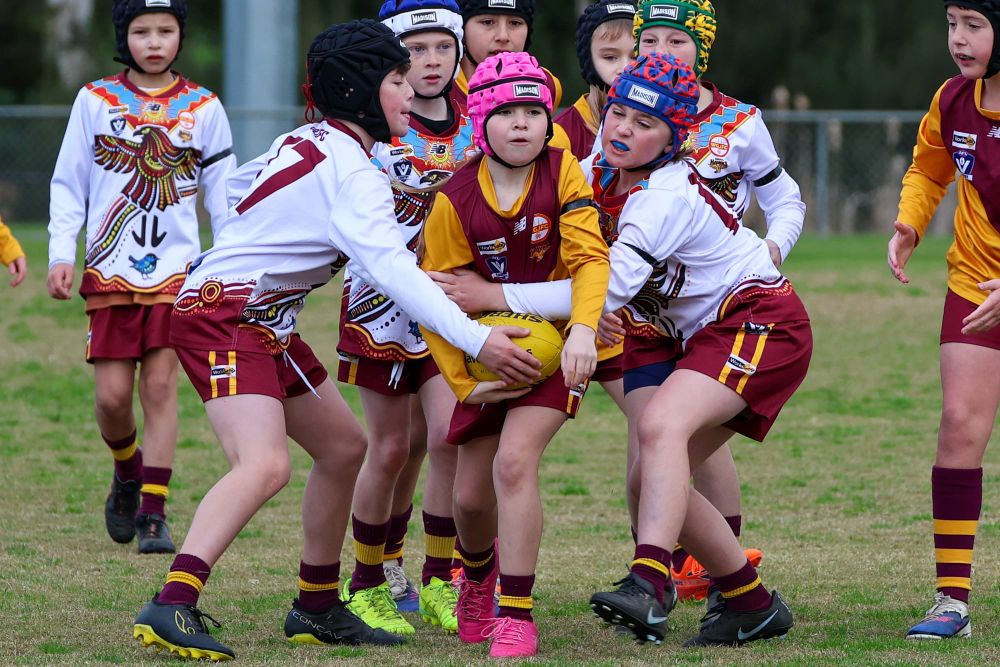 WGFJC Under 10 Mixed: Drouin Maroon vs Drouin Gold - July 12, 2026 post image