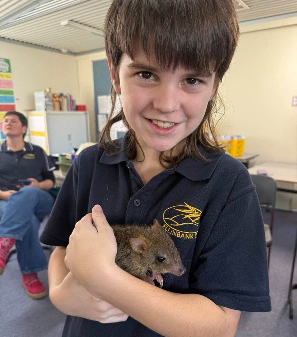Cute critters at Ellinbank Primary post image