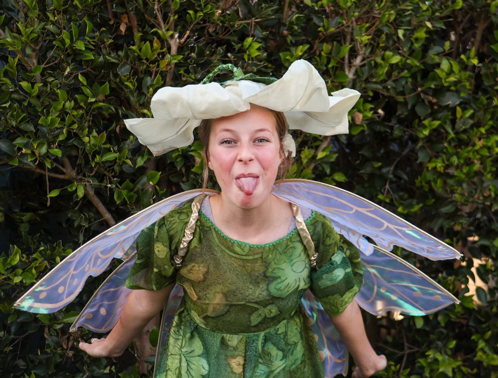 Travel to Neverland with MSCW post image